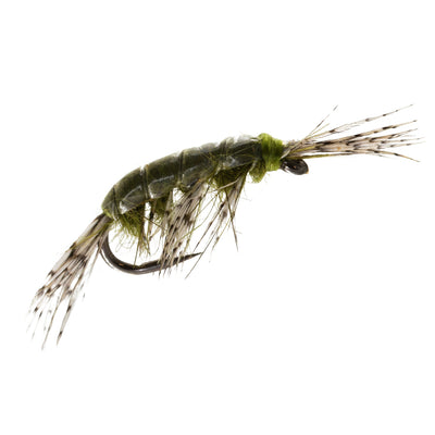 Leggy Shrimper Barbless