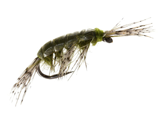 Leggy Shrimper Barbless