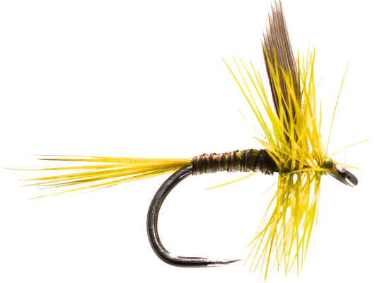 Large Dark Olive Olive Dun Barbless