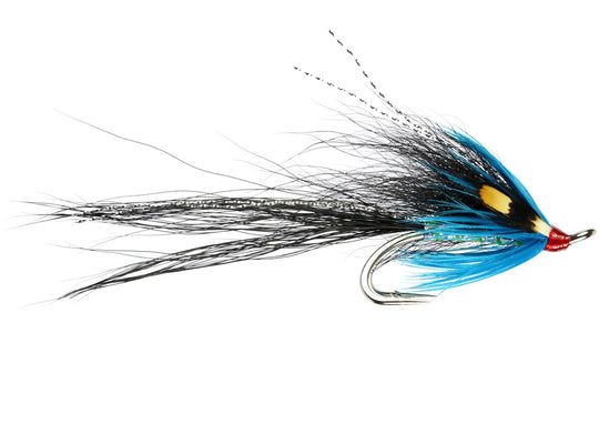 Gledswood Blue Shrimp Salmon Double