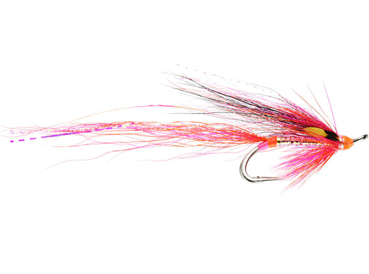 Lady Meikleour Salmon Double