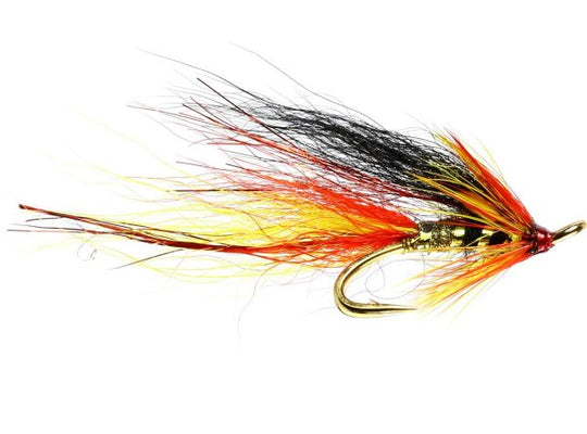 Park Shrimp Gold Double