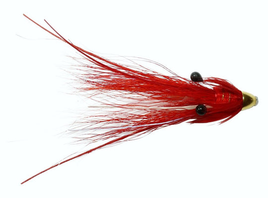 Gow'S Shrimp Feeler Conehead - 10Mm