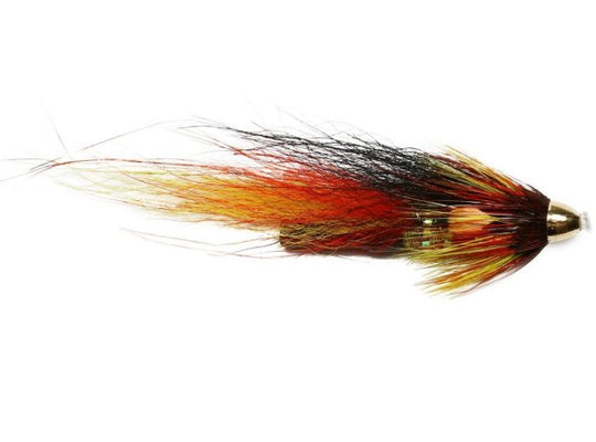 Park Shrimp Conehead 20Mm