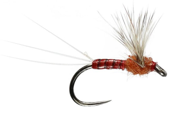 Sherry Spinner Barbless