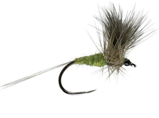 Blue Winged Olive Cdc Barbless