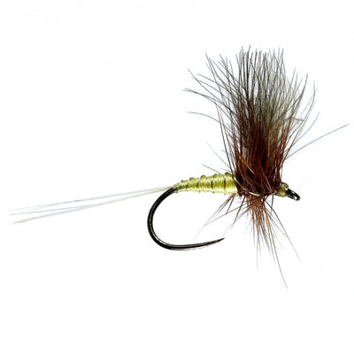 Greenwells Glory Cdc Winged Dry Barbless (Size 14)