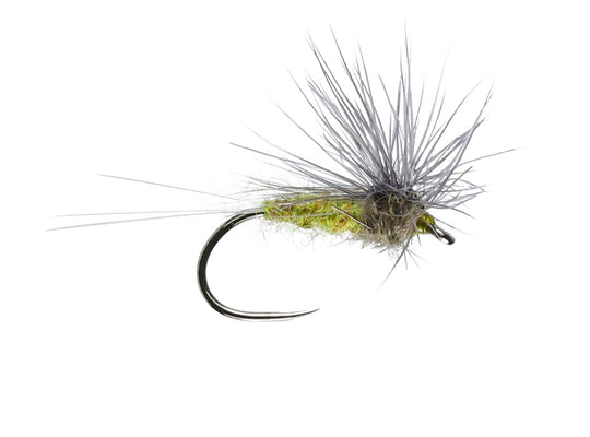 Blue Winged Olive Stacked Hackle Barbless