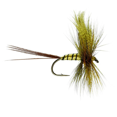 Erne Special Mayfly
