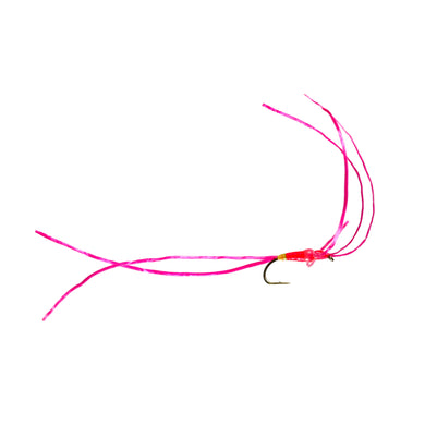 Pink Hotspot Worm