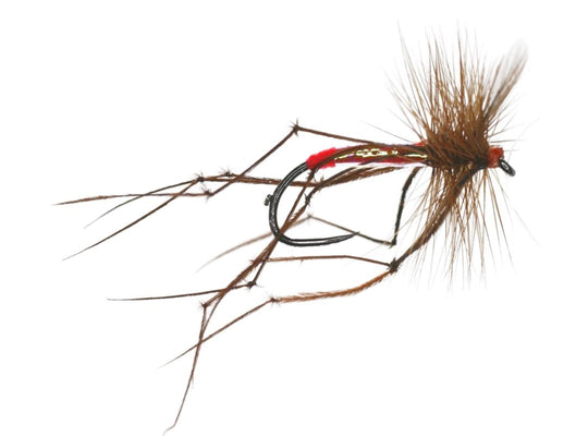 Pearly Daddy Barbless