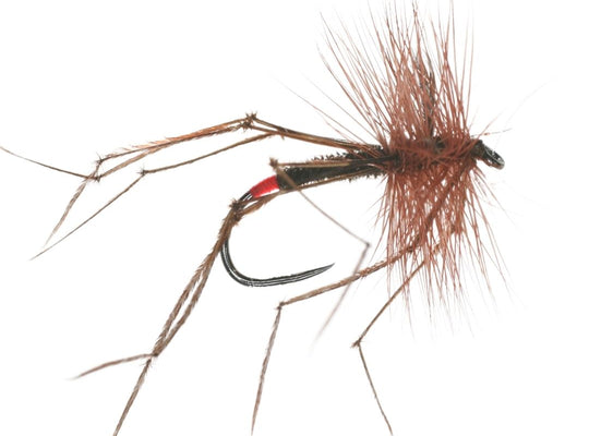 Daddy Long Legs Barbless