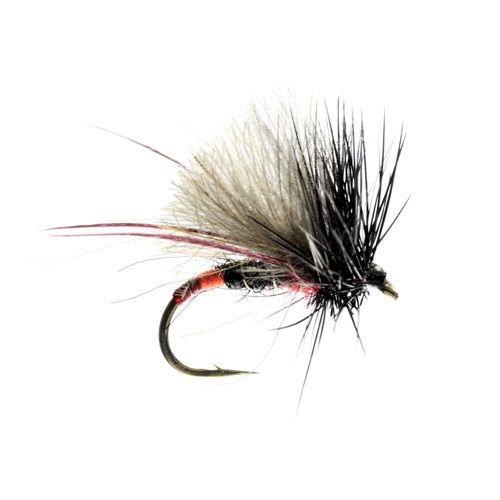Sweethope Hopper (Size 12)