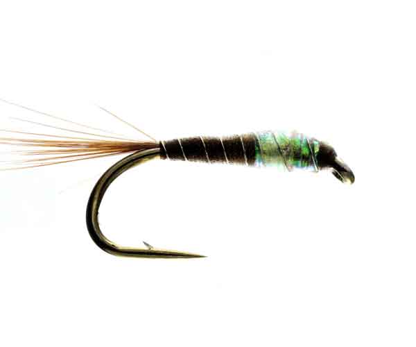 All Standard Nymphs