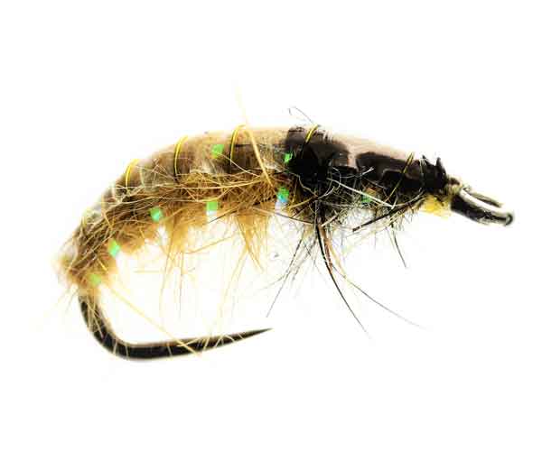 Czech nymphs
