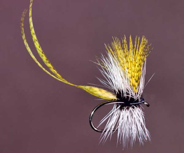 Dry Mayflies