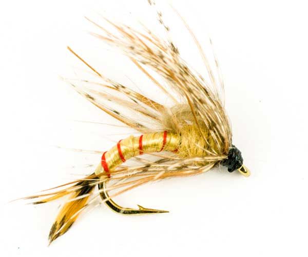 Emergers