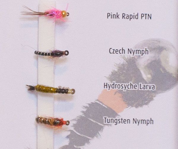 Fly Selections
