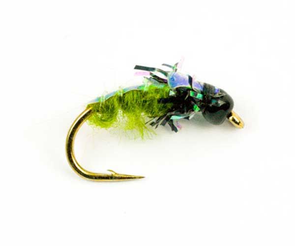 Nymphs