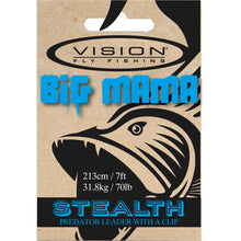 Vision  Big Mama Leader