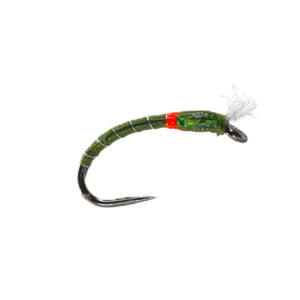 3D Olive Epoxy Buzzer Special Barbless (Size 12)