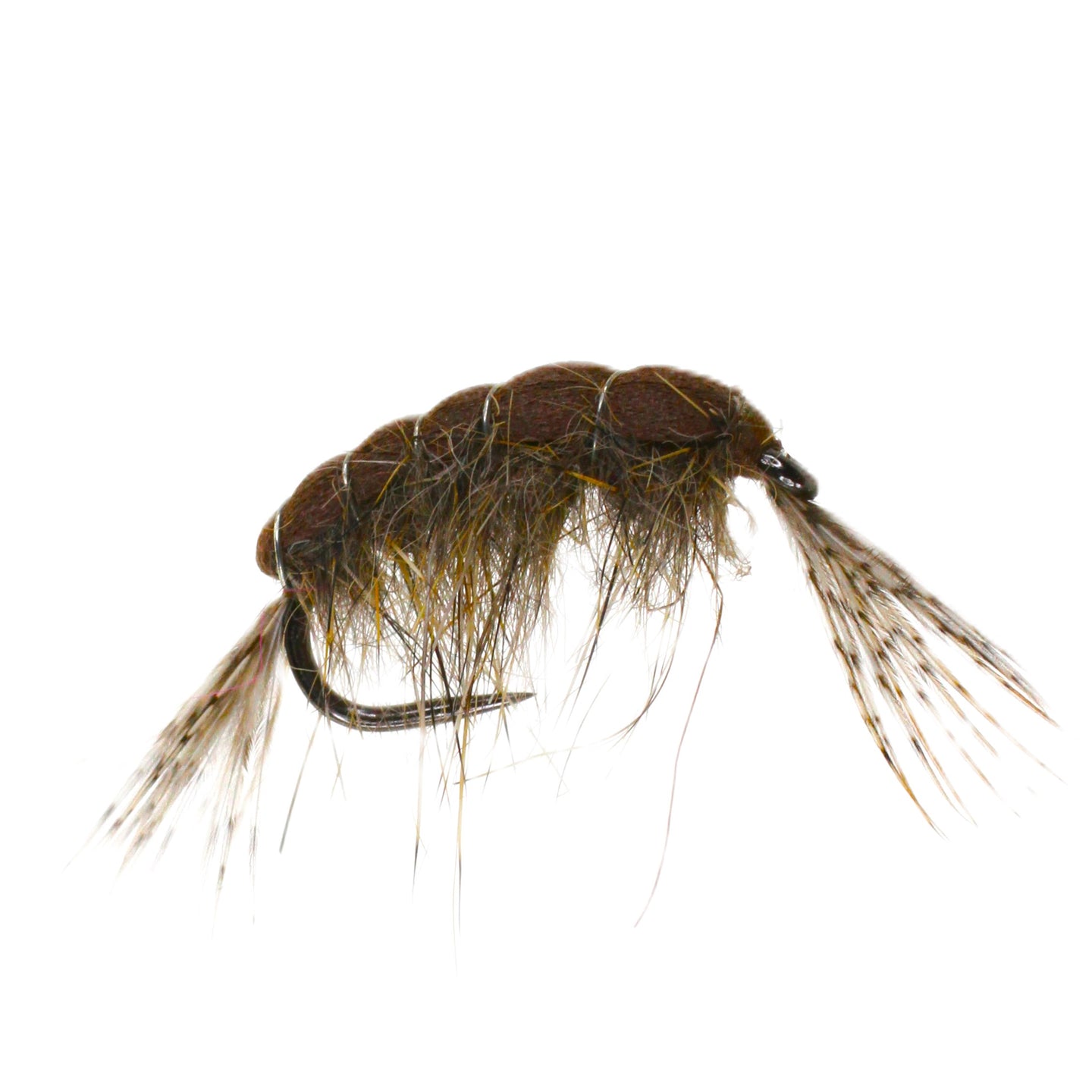 Foam Back Killer Shrimp Barbless Size 10