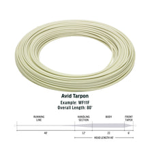 Rio Avid Tarpon