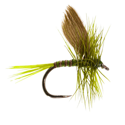 Olive Dun Barbless
