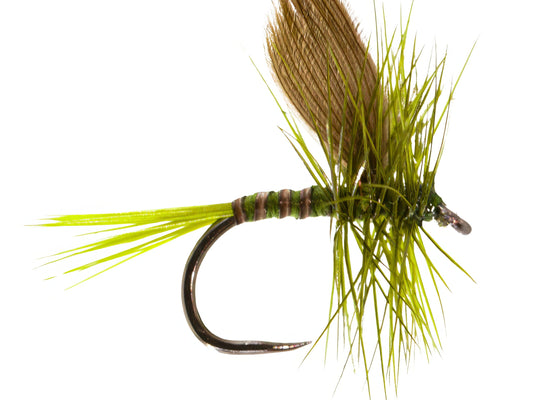 Olive Dun Barbless
