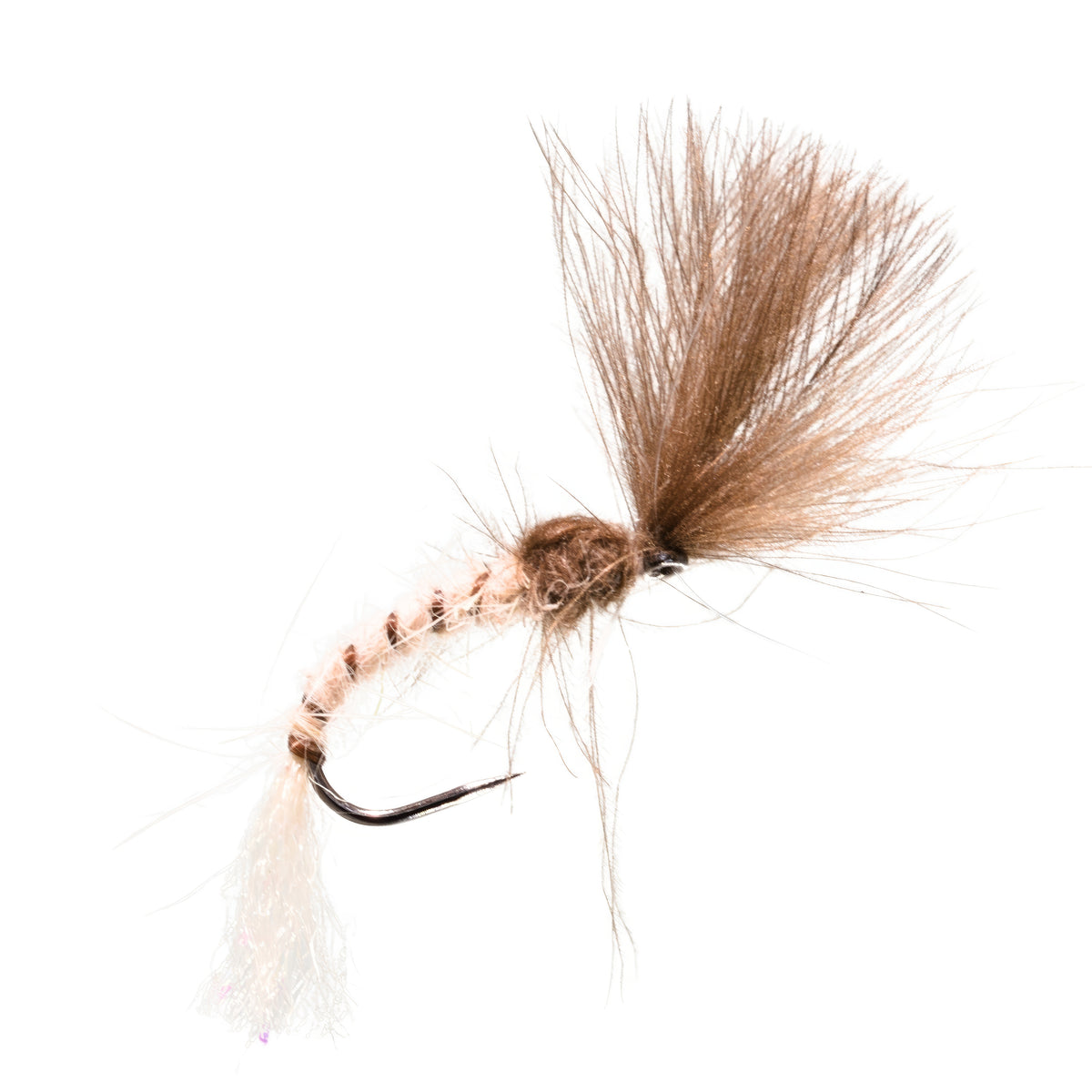 Mayfly Dc CDC Mayfly Emerger Barbless Size 10 – Peaks Fly Fishing