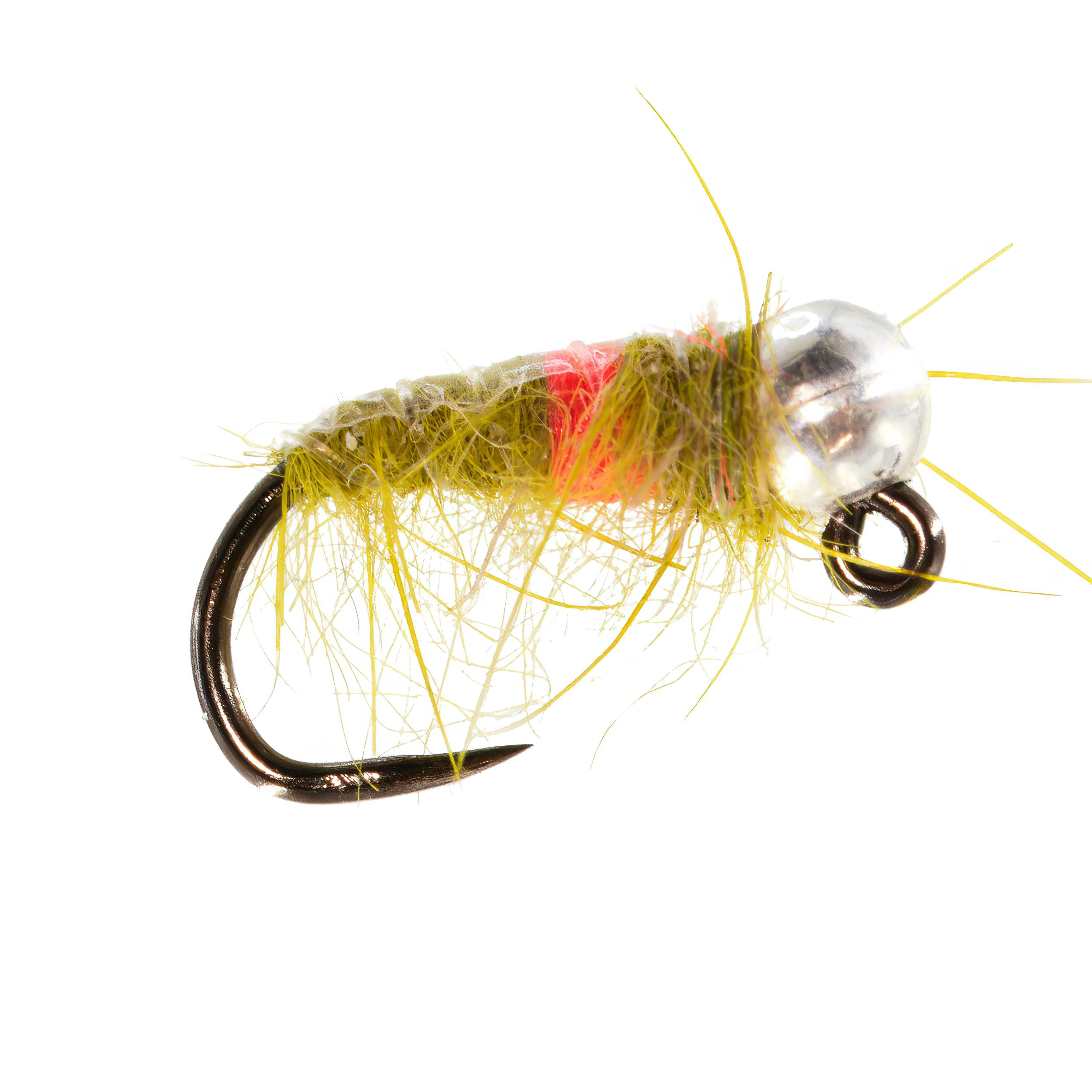 Euro Shrimp Barbless