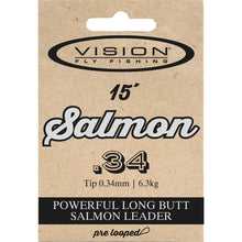 Vision  Salmon Leader