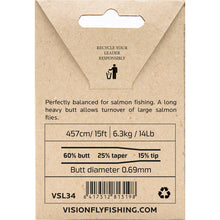 Vision  Salmon Leader