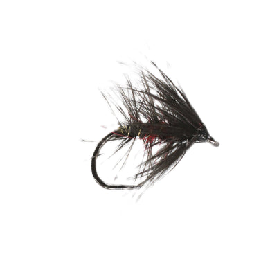 Bibio Hackled Wet Fly Barbless