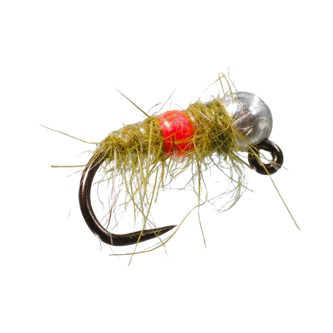 Euro Shrimp Barbless