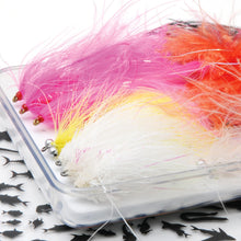 Vision  Fit Large Fly Box