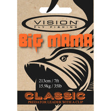 Vision  Big Mama Leader