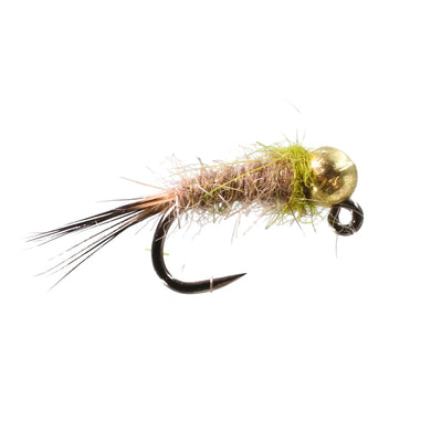 Tactical Tungsten Hares Olive Collar