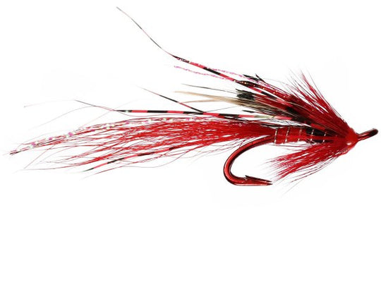 Allys Shrimp Red Salmon Double Red