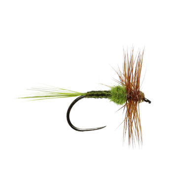 Hatching Olive Hackled Dry Barbless (Size 14)