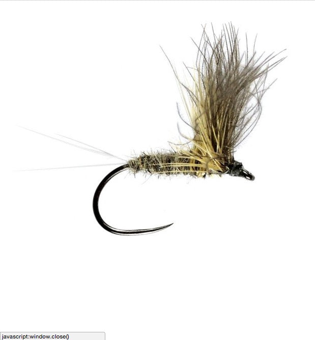 Grey Duster Cdc Winged Dry Barbless (Size 14)