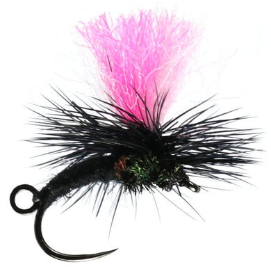 Goldhead, Synergy, Tequila Nomad, Barbless, Lures - Trout Fly Fishing Flies