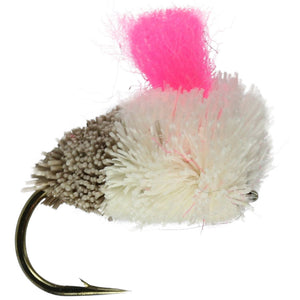 Carp Bown Crust And Pink