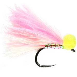 Candyman Booby Barbless  (Size 12)