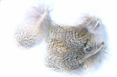 English Partridge Grey Neck Hackles 3g Pack