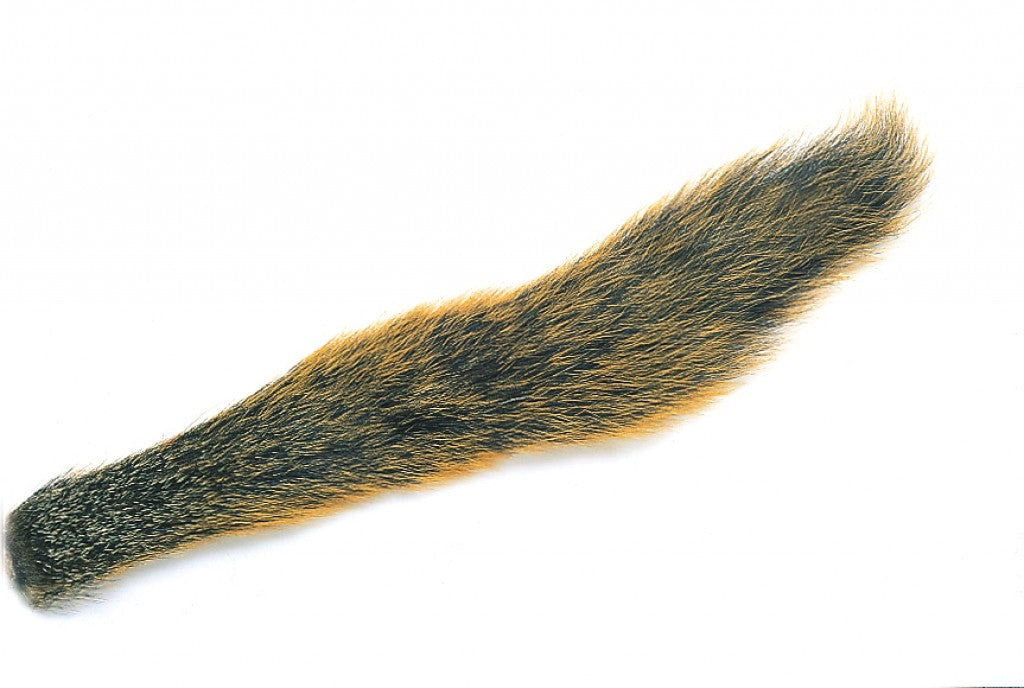 Fox Squirrel Tail Natural
