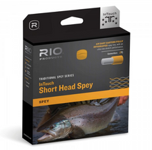Rio Intouch Short Head Spey Line