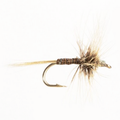 Dry Hackled Blue Quill (Size 14)