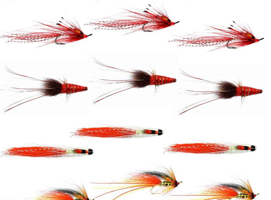 Autumn Salmon Flies 1 - Collection
