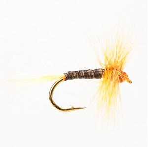 Ginger Quill (Size 14)